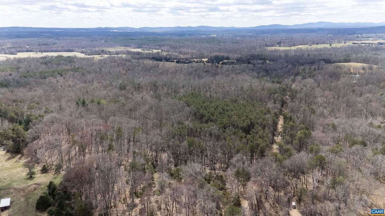 0 Elly Rd - Photo 1