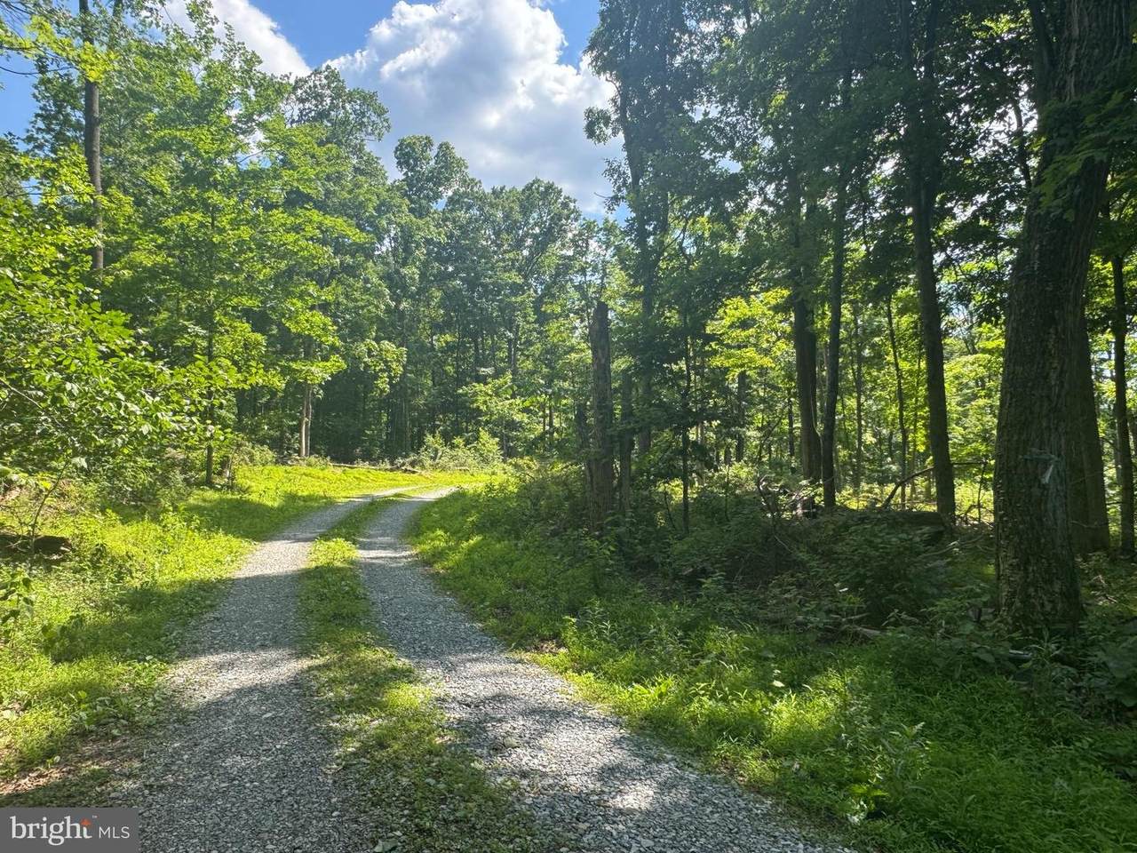  Middle Point Road - Photo 1