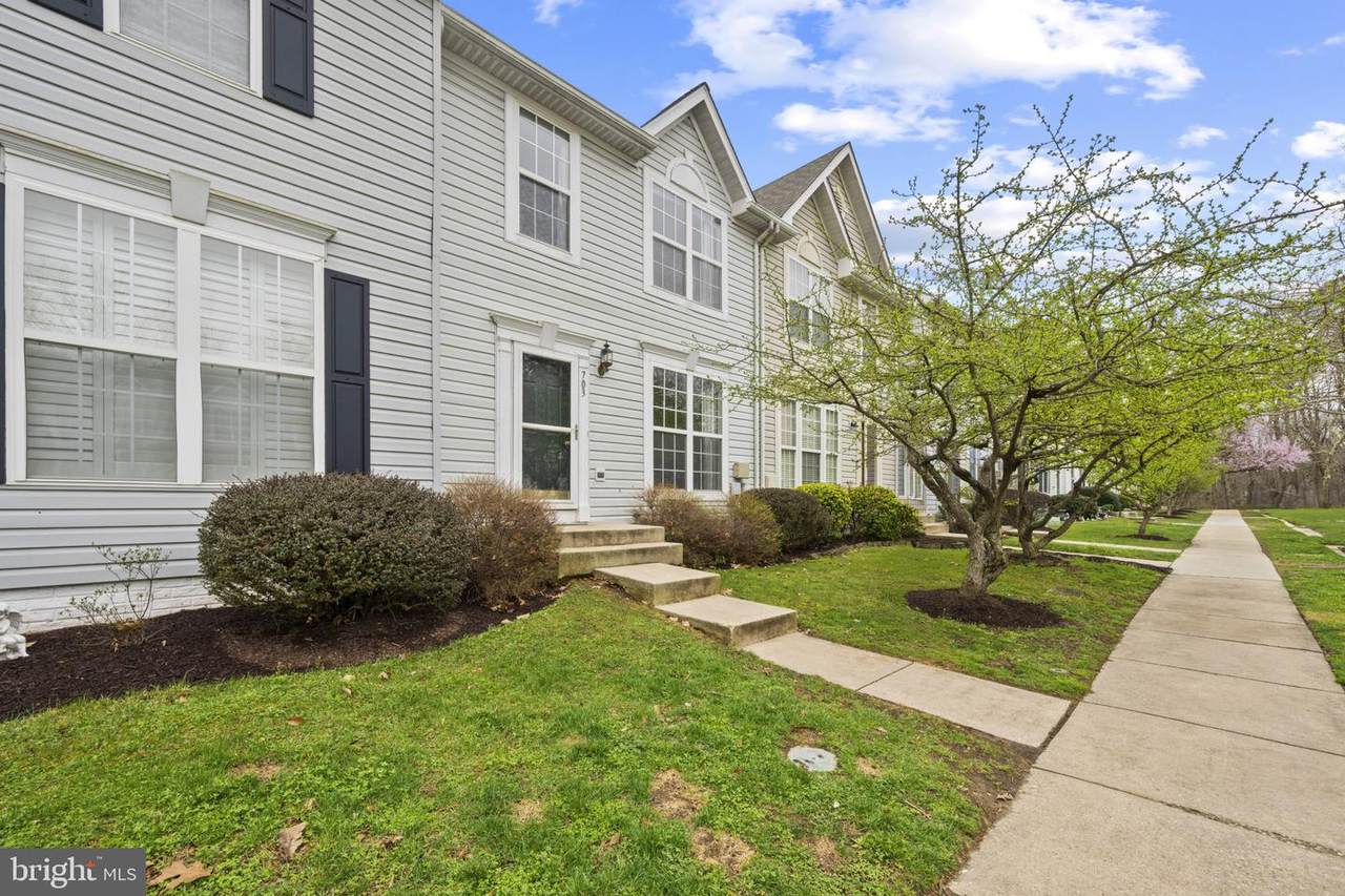 703 Horse Chestnut Court - Photo 1
