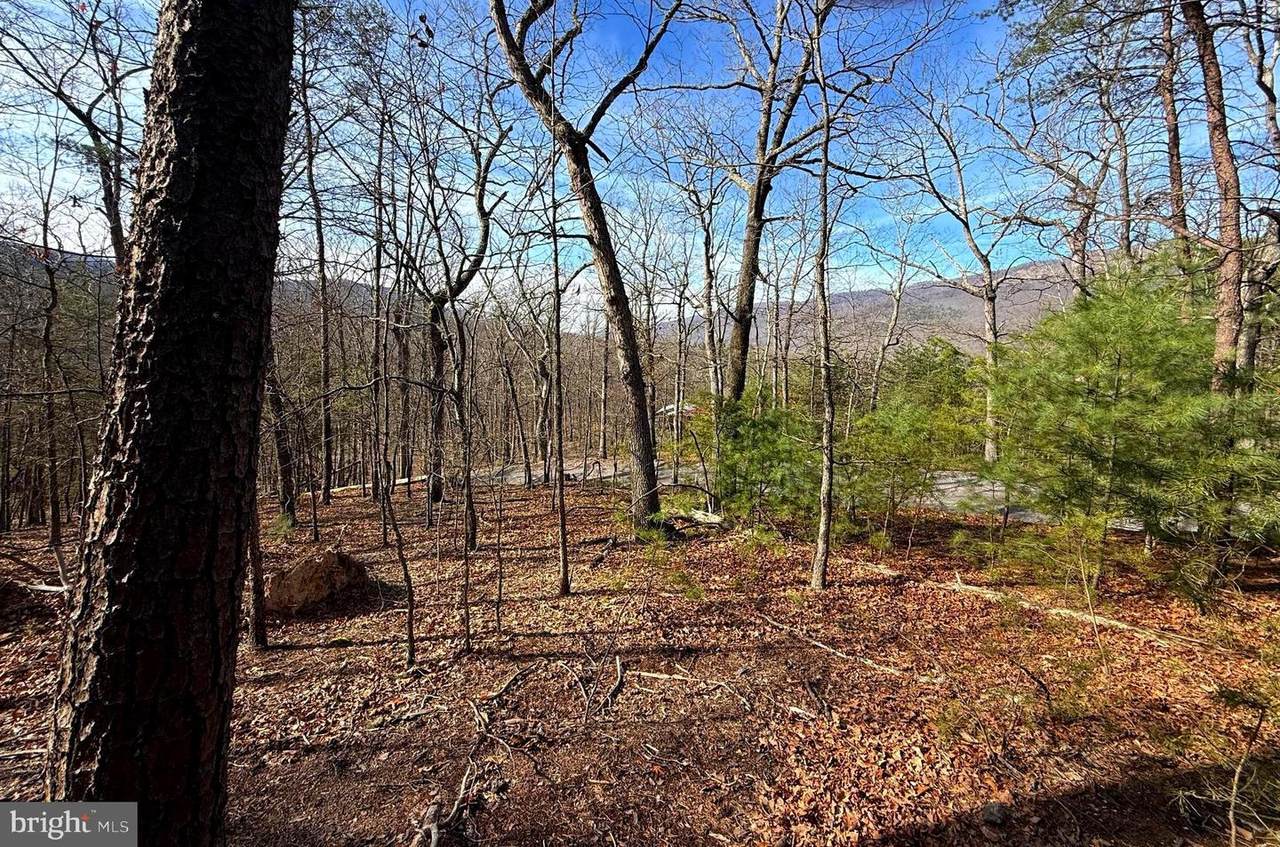 6 ac Mountain Acres Loop - Photo 1