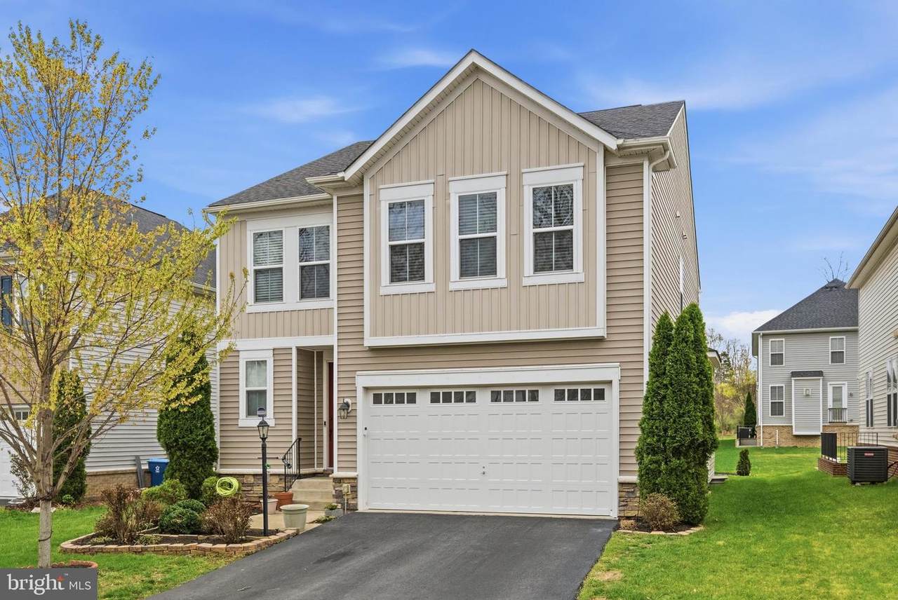 42029 Spruce Point Court - Photo 1