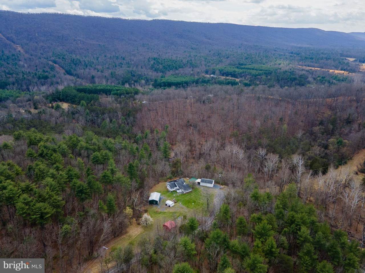 1605 Paddys Run Road - Photo 1