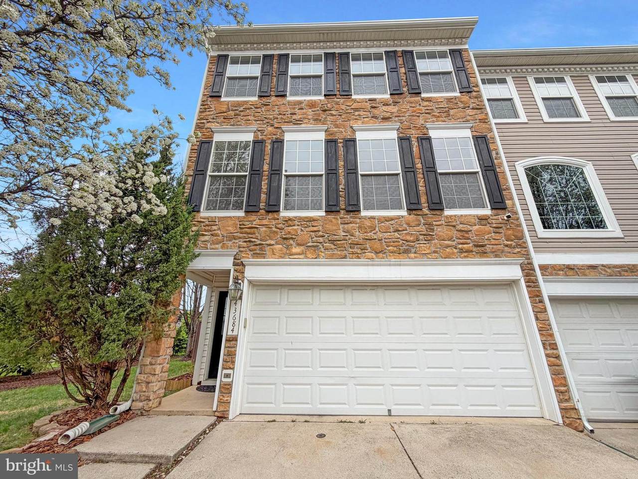 43684 Phelps Terrace - Photo 1