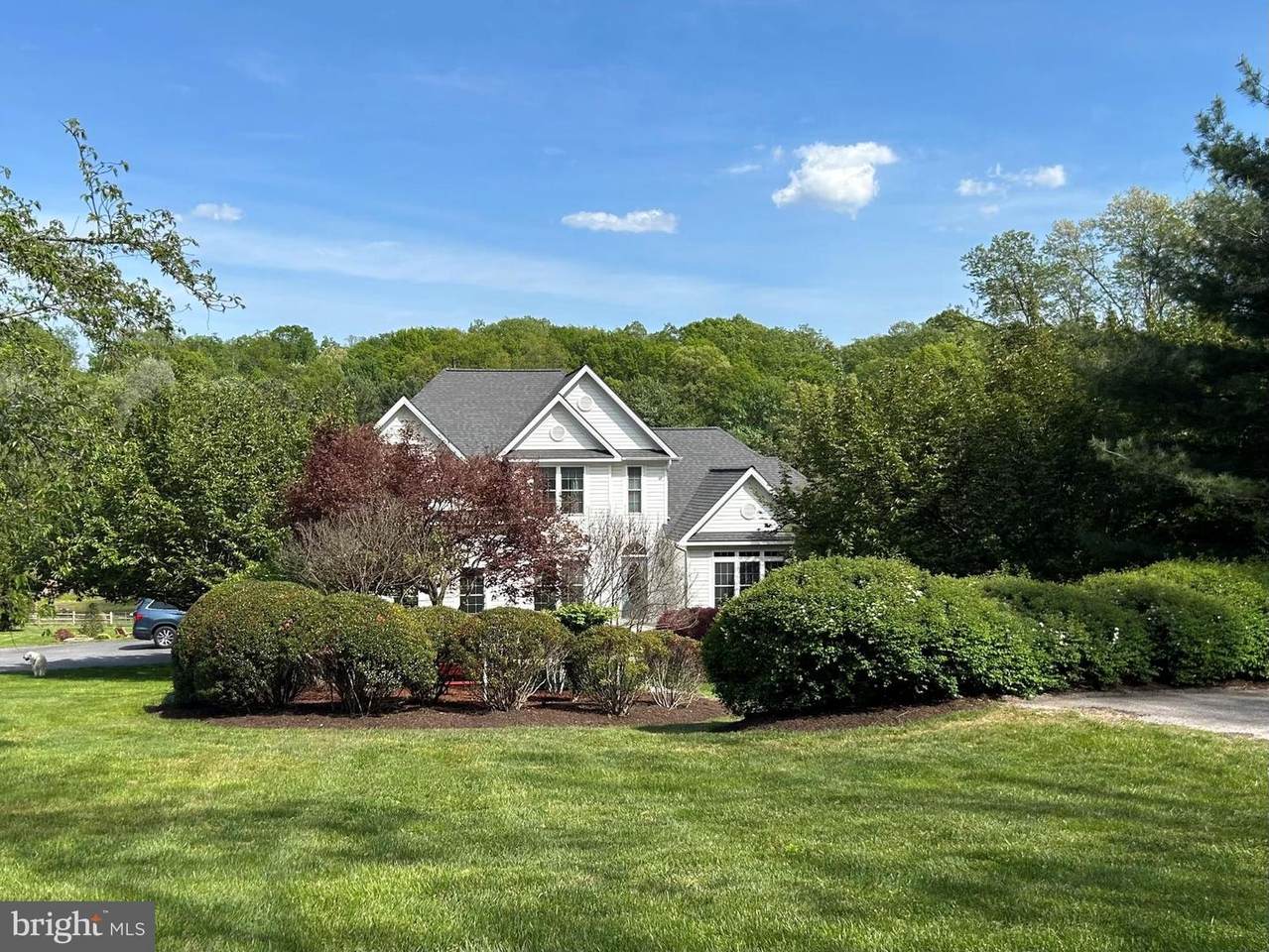 1203 Dairy Road - Photo 1