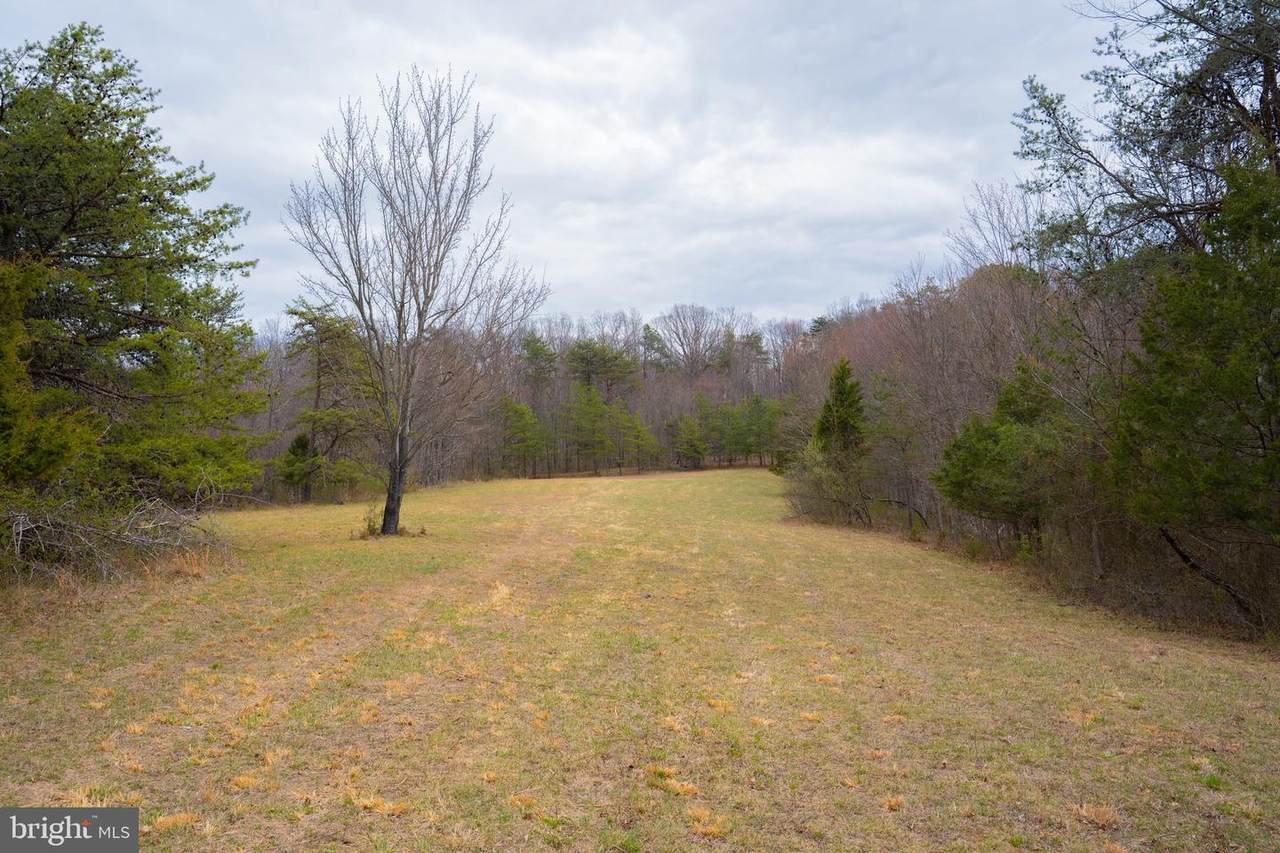  Wardensville Grade - Photo 1