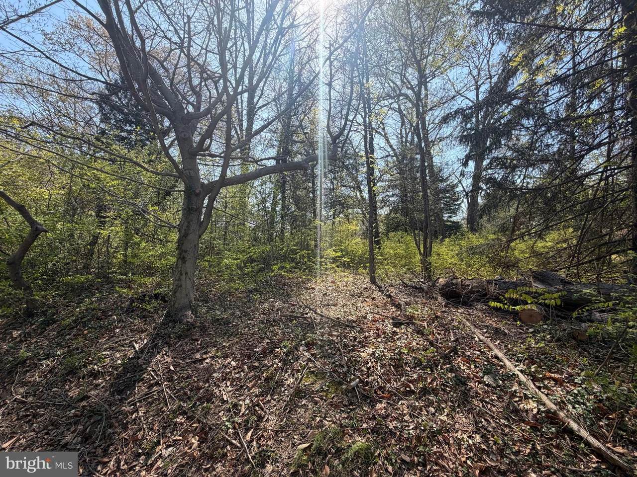 6061 Old Lawyers Hill Road - Photo 1
