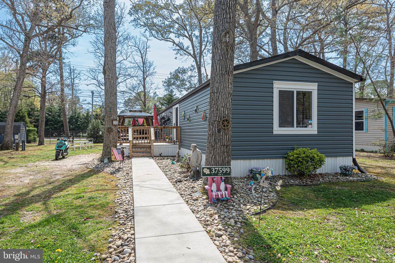 37599 Shady Circle - Photo 1