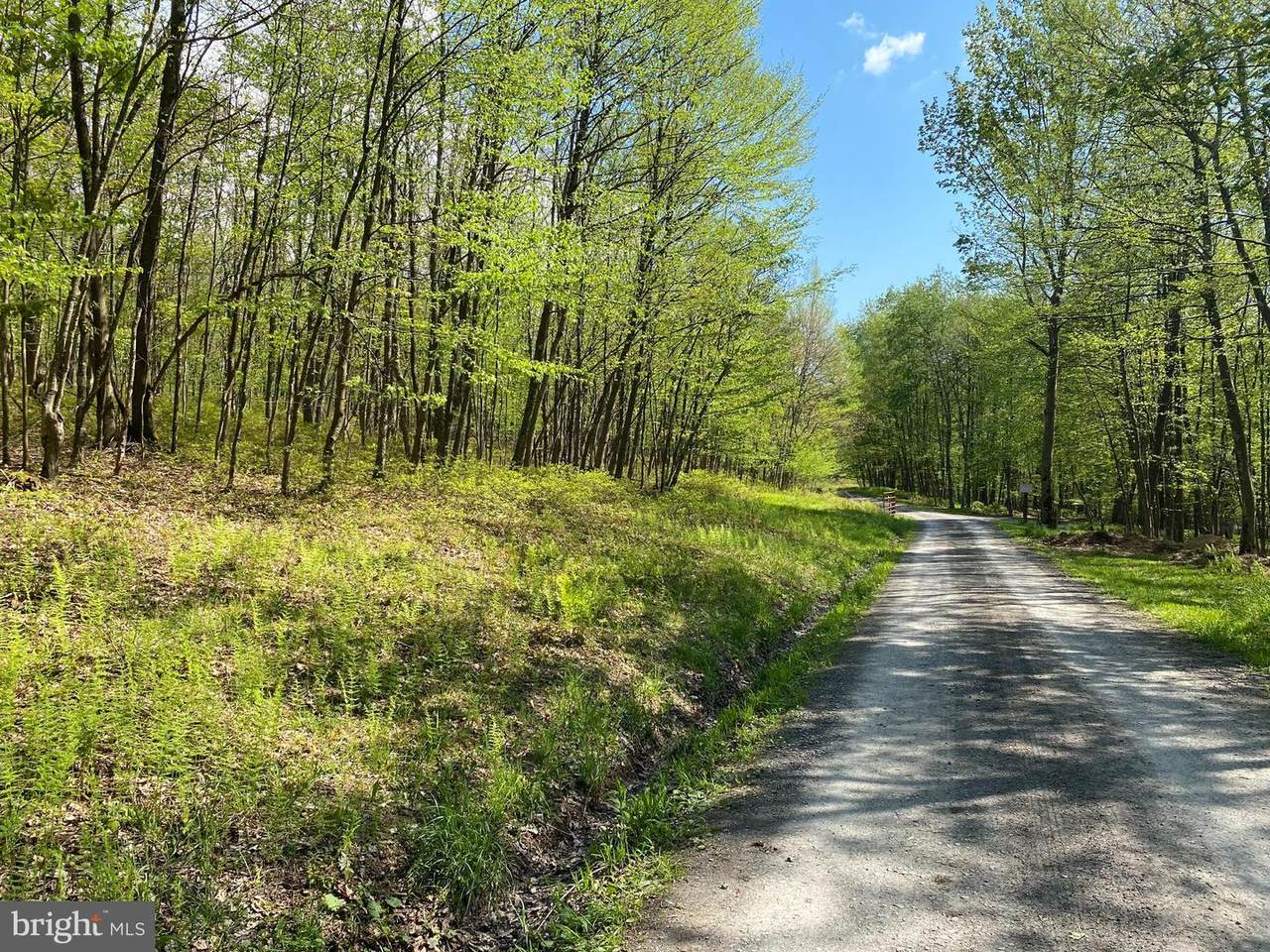 LOT 6B Betts Lane - Photo 1