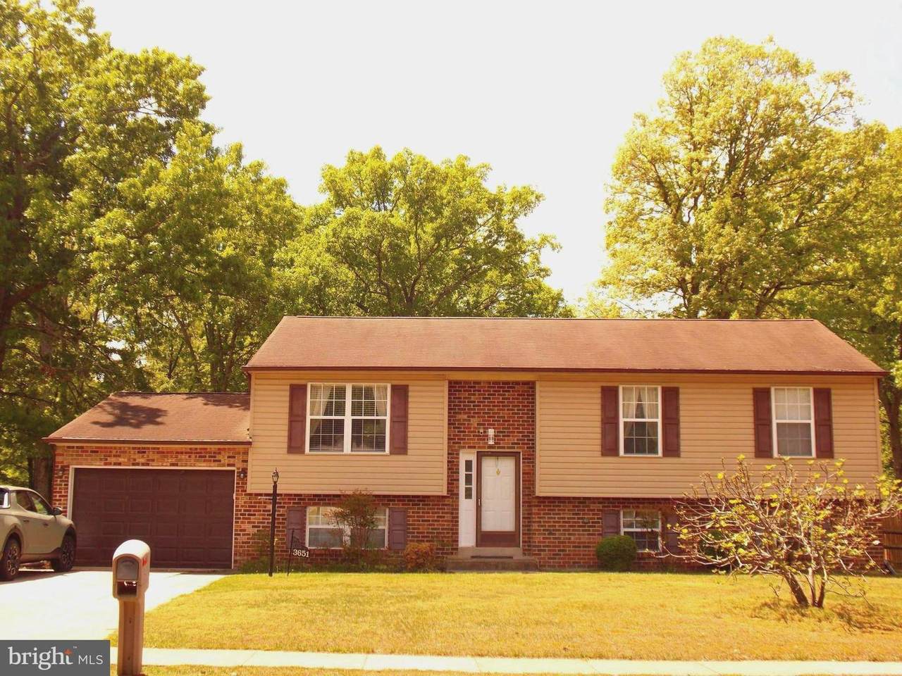 3651 Sassafras Drive - Photo 1