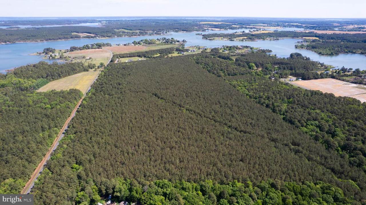  Taylors Island Rd - Photo 1