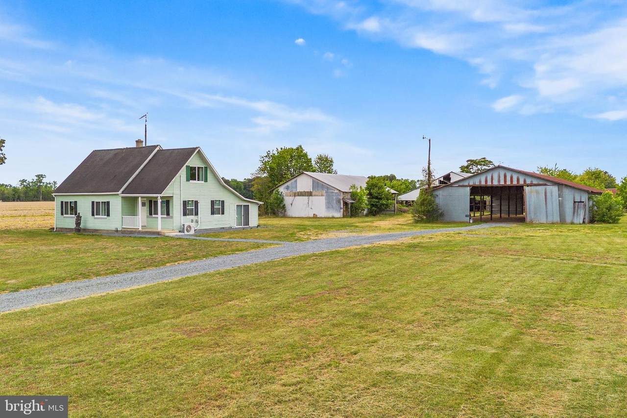 25699 Auction Road - Photo 1