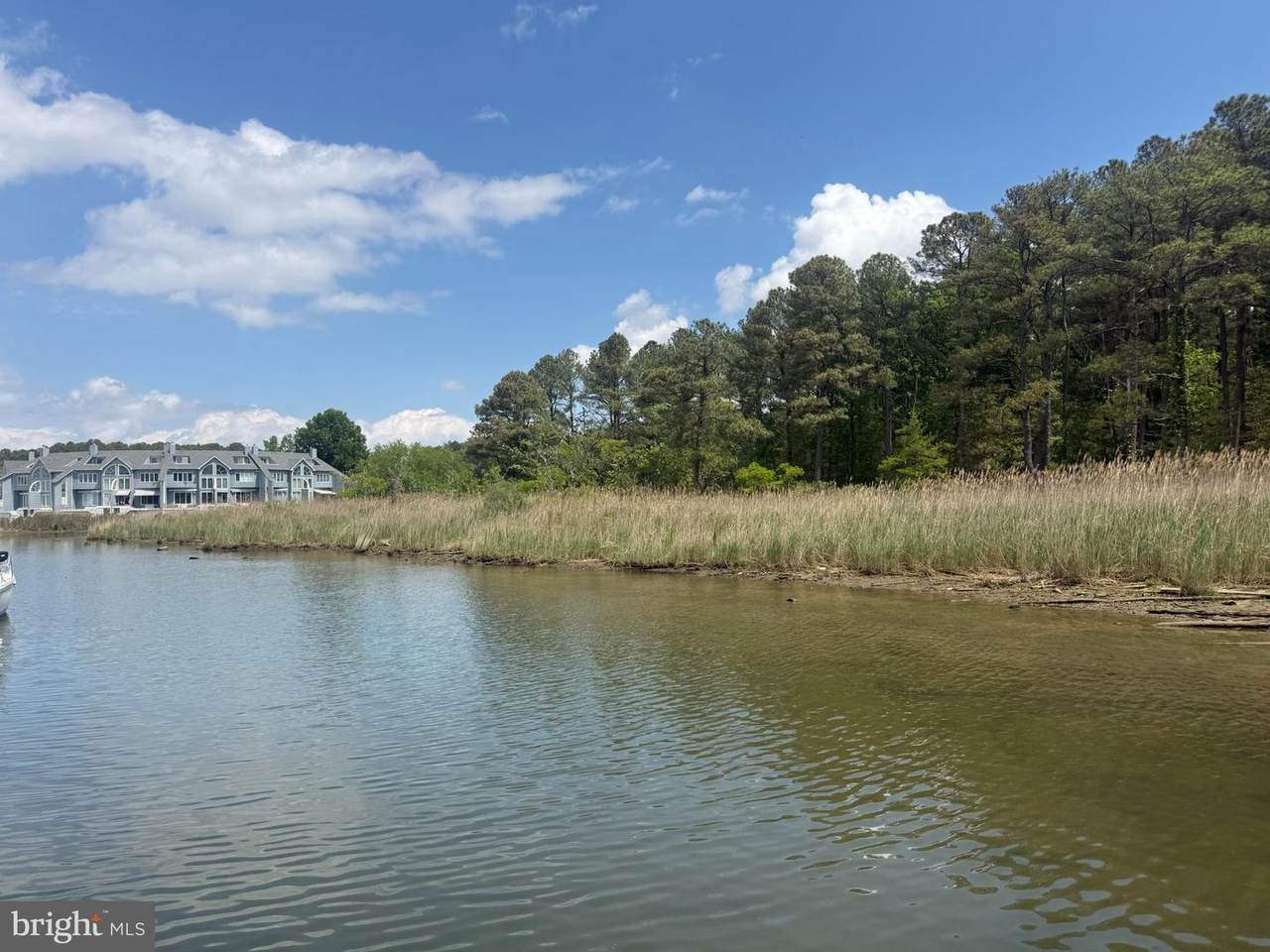 21190 Green Lane - Photo 1