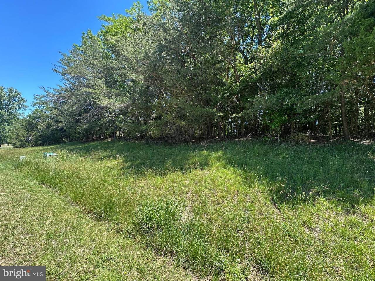 Lot 7 Lake - Photo 1