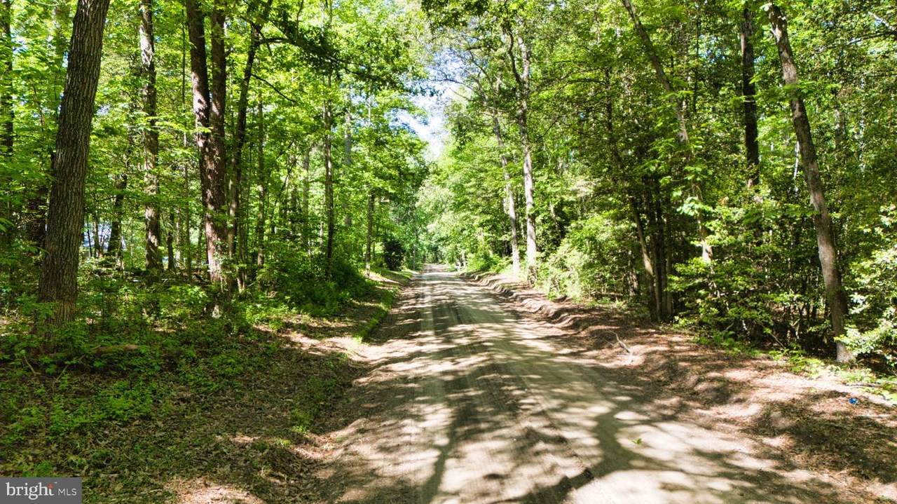 0 Trunk Road - Photo 1