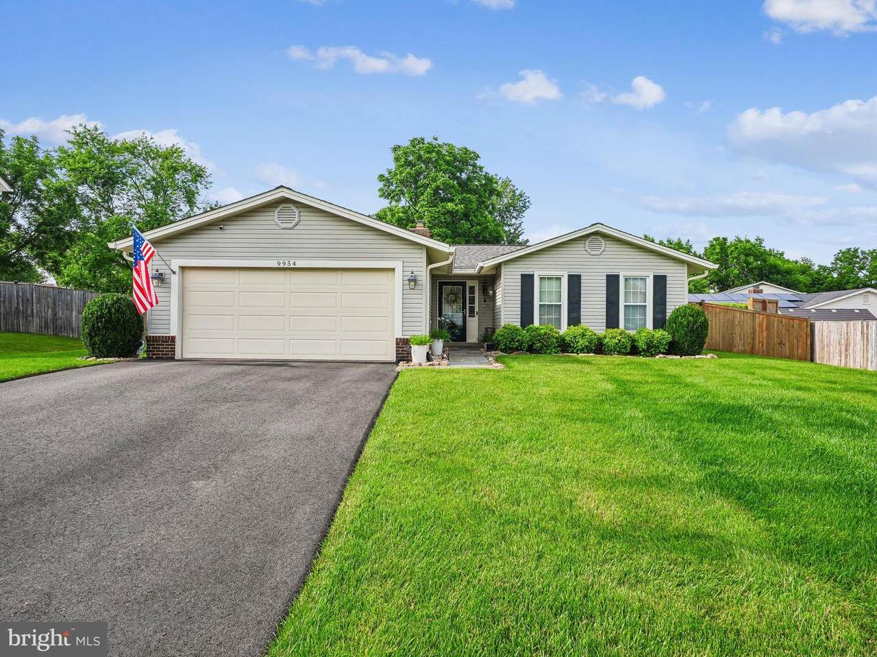 9954 Mallow Street - Photo 1