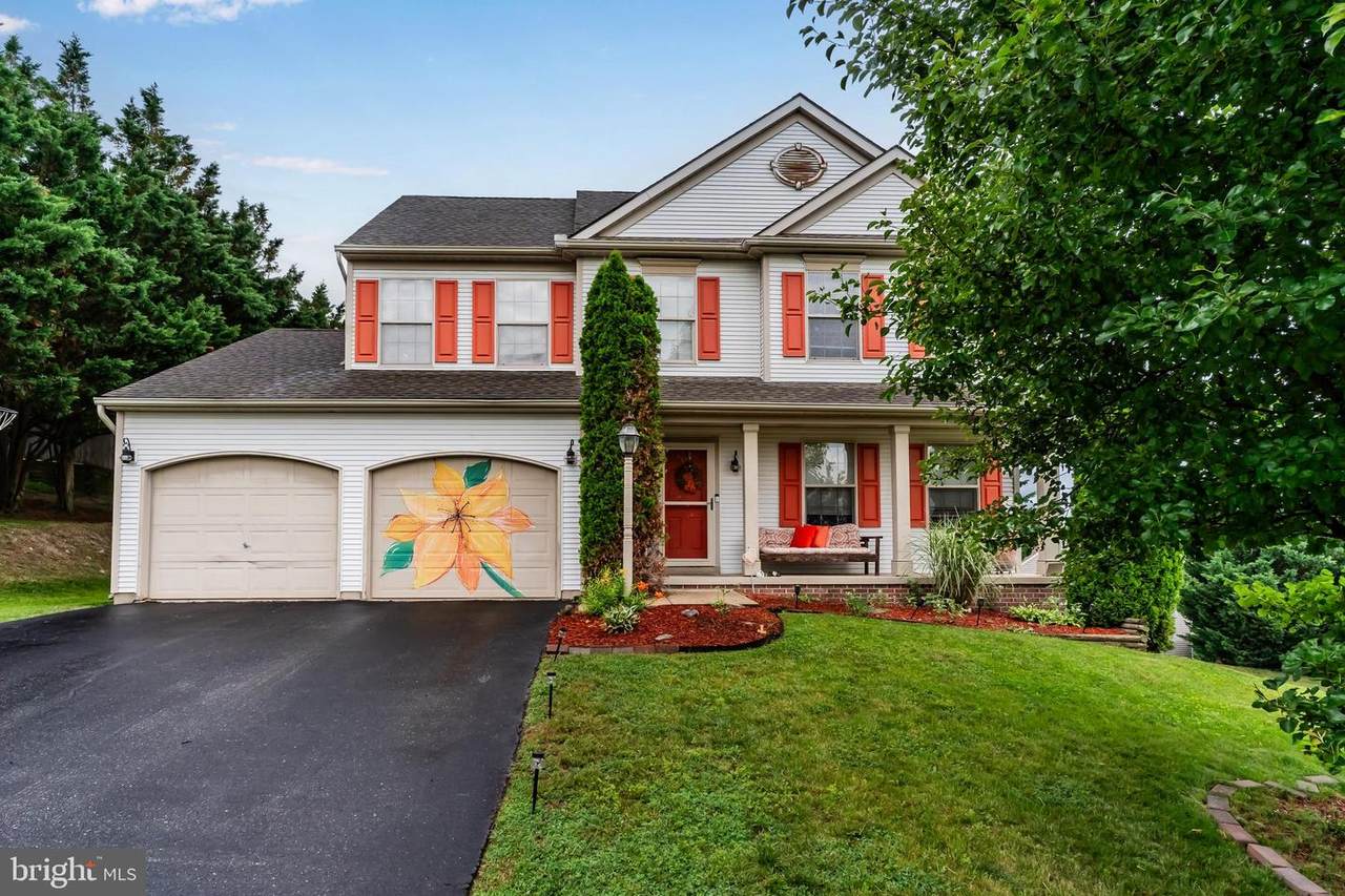 2345 Friesian Road - Photo 1