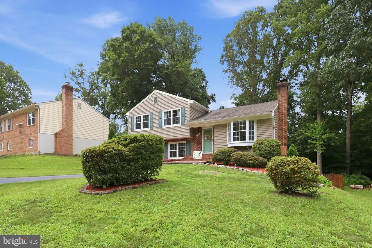 2941 Fox Tail Court - Photo 1