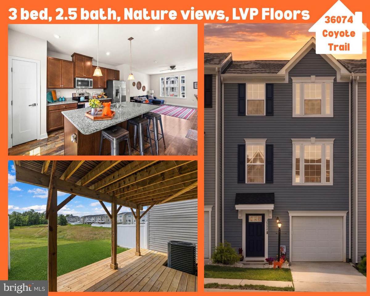 36074 Coyote Trail - Photo 1