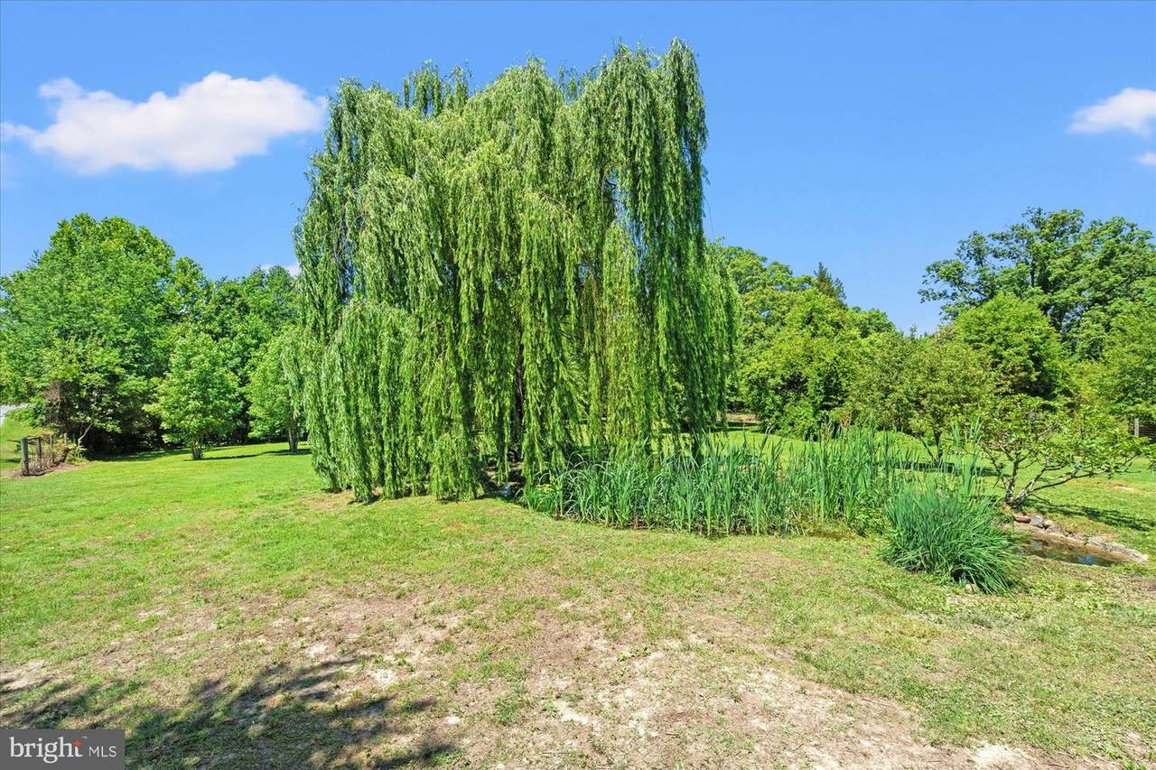 https://bt-photos.global.ssl.fastly.net/brightmls/1280_boomver_2_805016141600-2.jpg