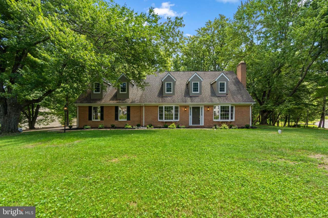 10054 Green Clover Drive - Photo 1