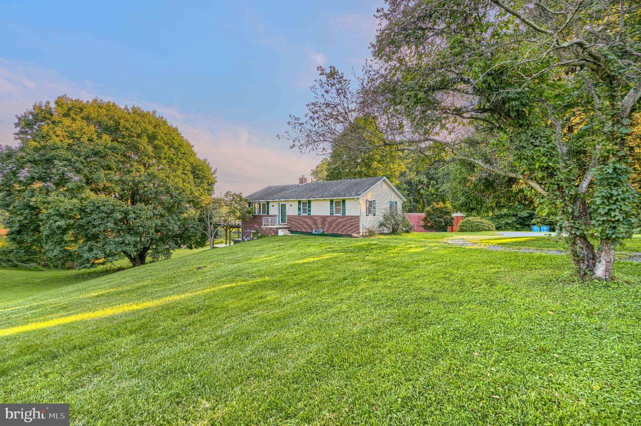 20408 Old York Road - Photo 1