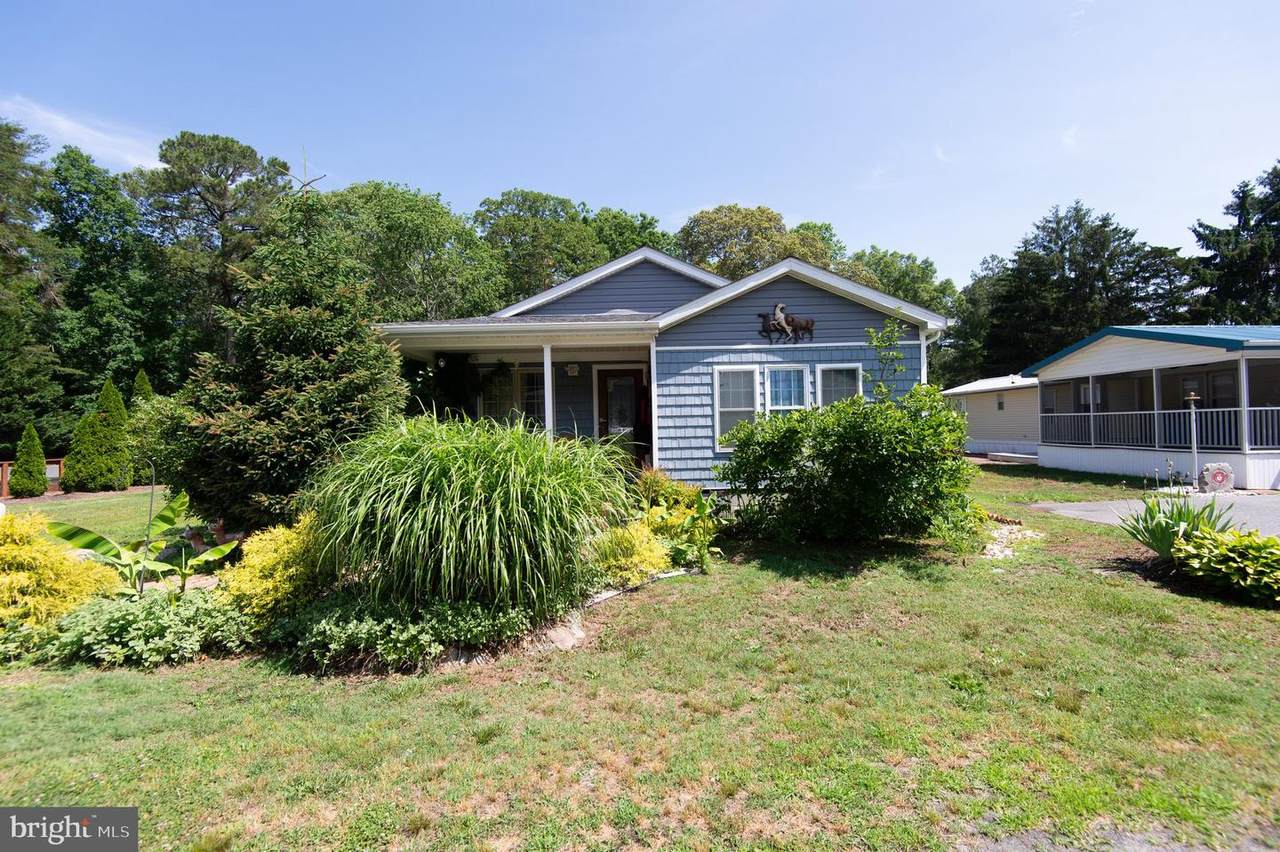 29505 Maple Road - Photo 1