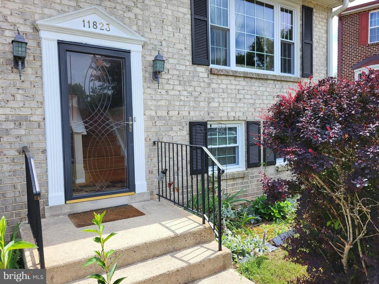 11823 Sylvia Drive - Photo 1