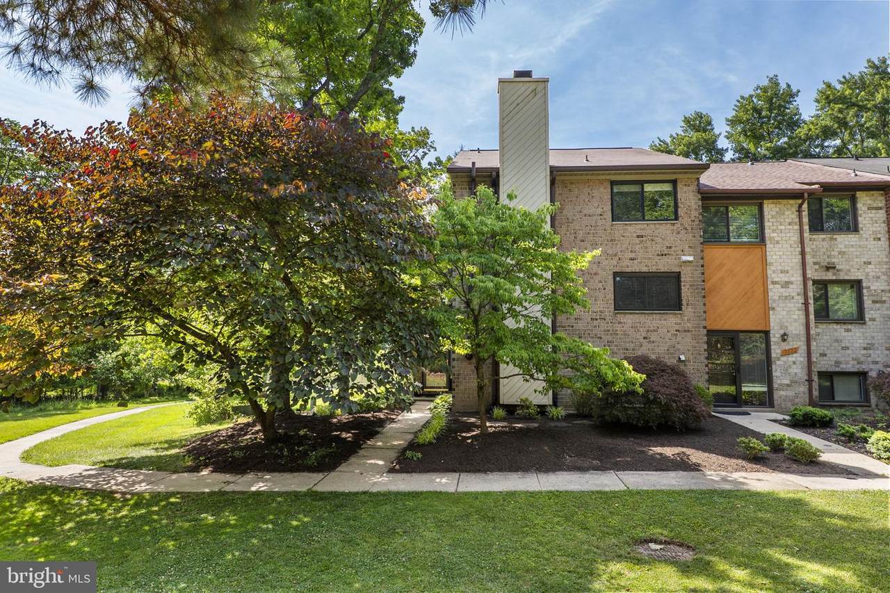 7174 Winter Rose Path - Photo 1
