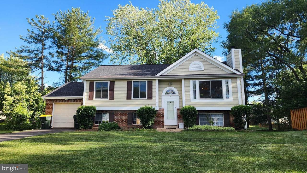 3827 Dittany Court - Photo 1