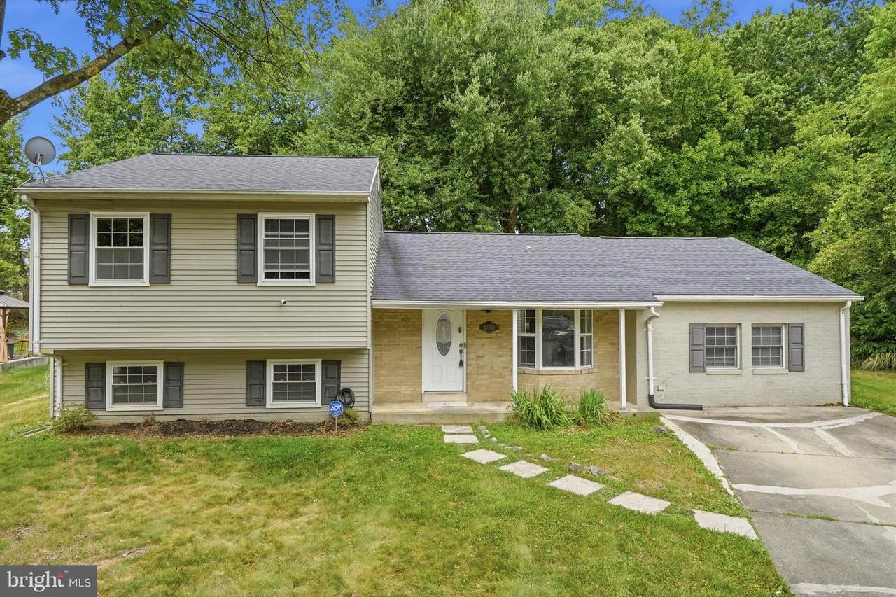 12203 Kingsbrook Street - Photo 1