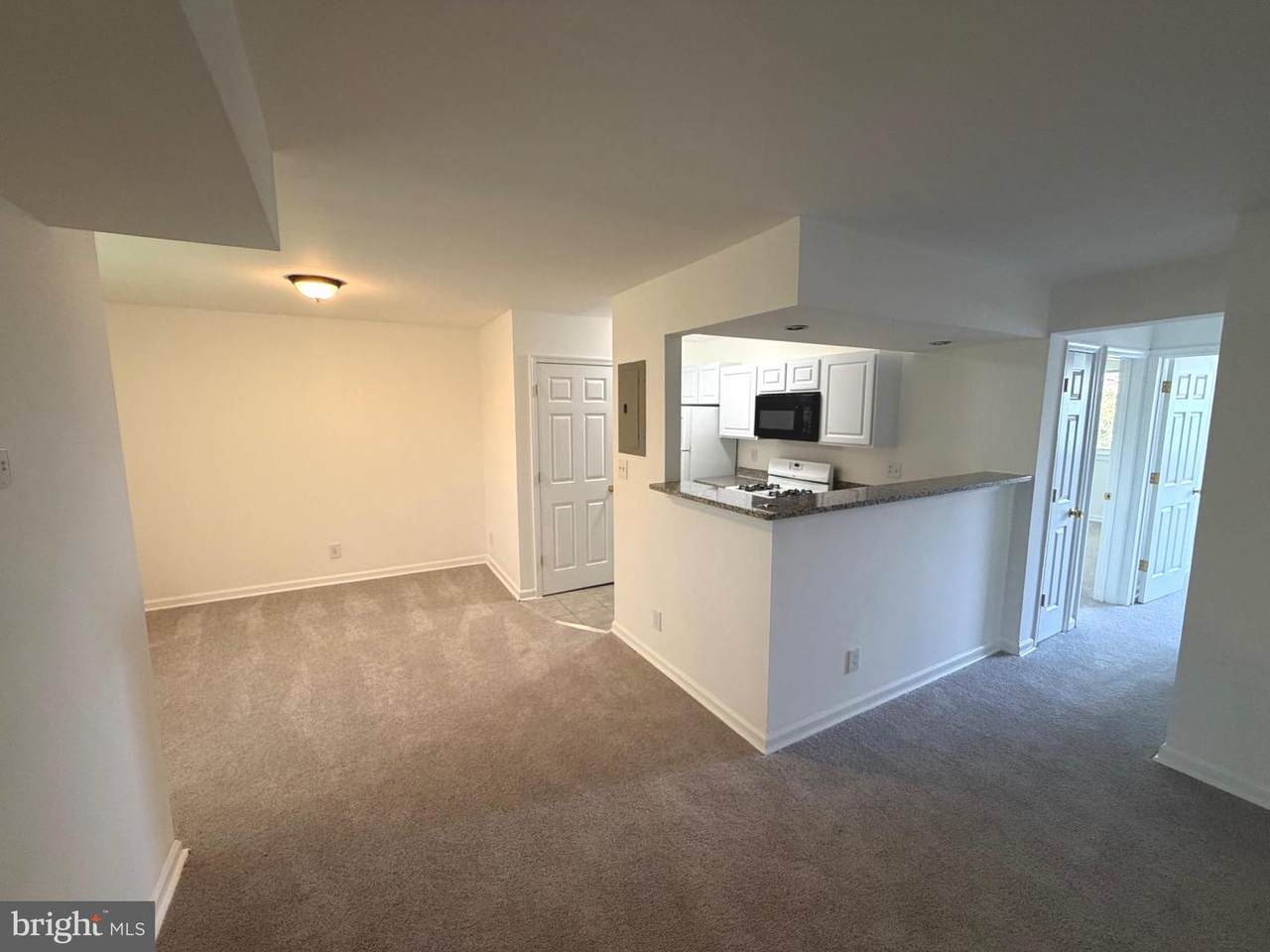 7516 Hawthorne Street - Photo 1