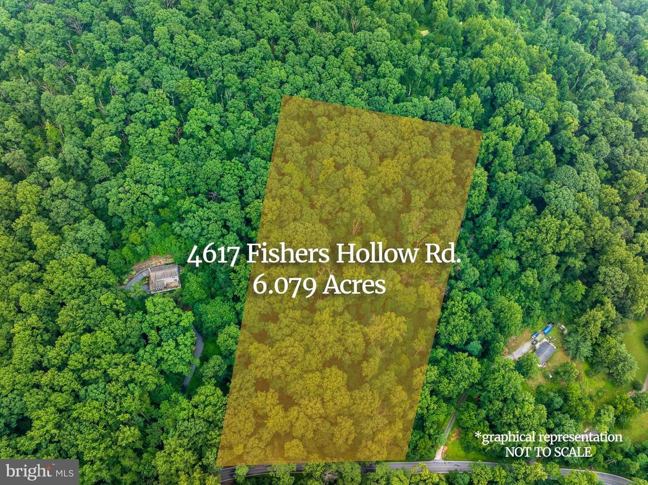 4617 Fishers Hollow Road - Photo 1