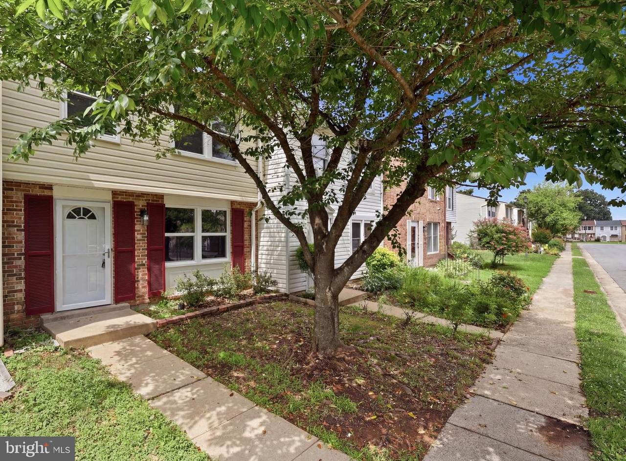 10167 Wilmington Street - Photo 1