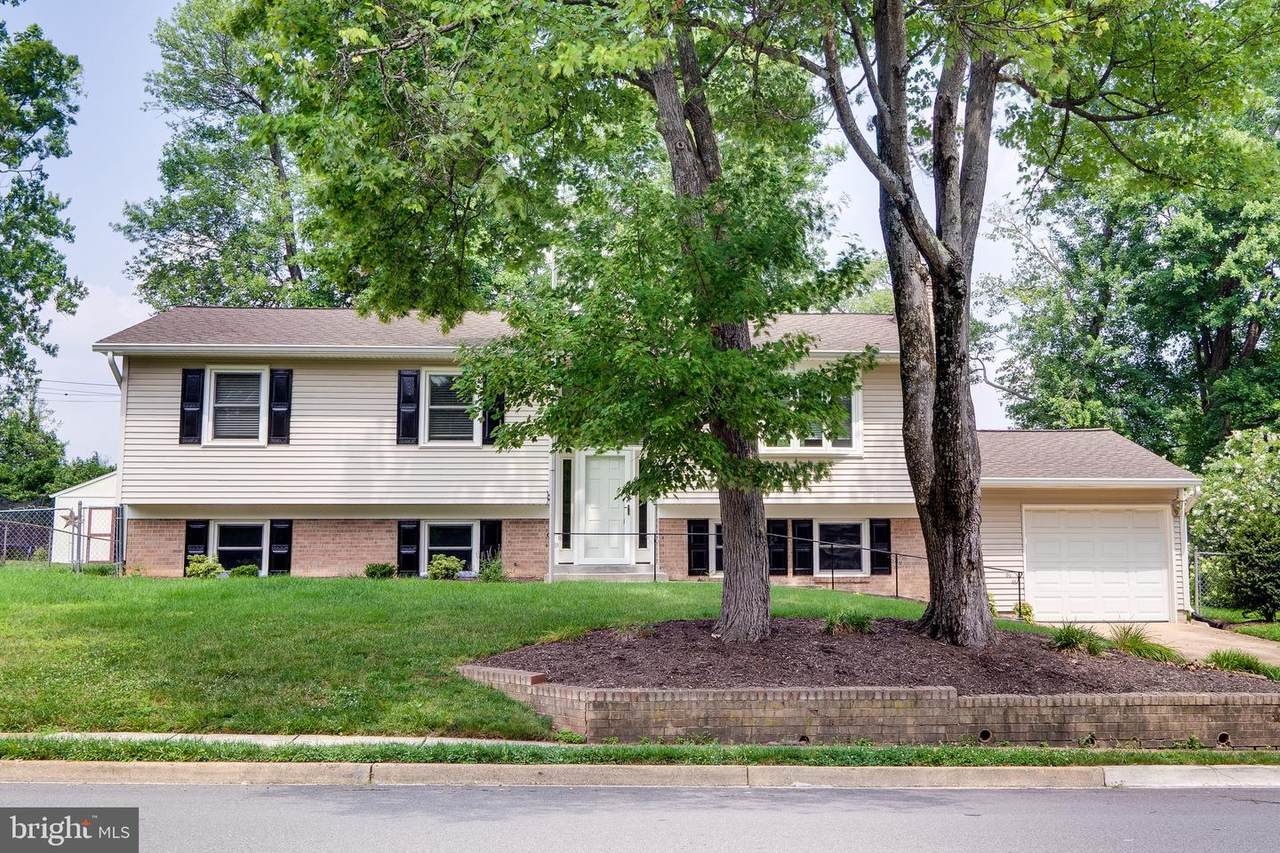 203 Locust Street - Photo 1