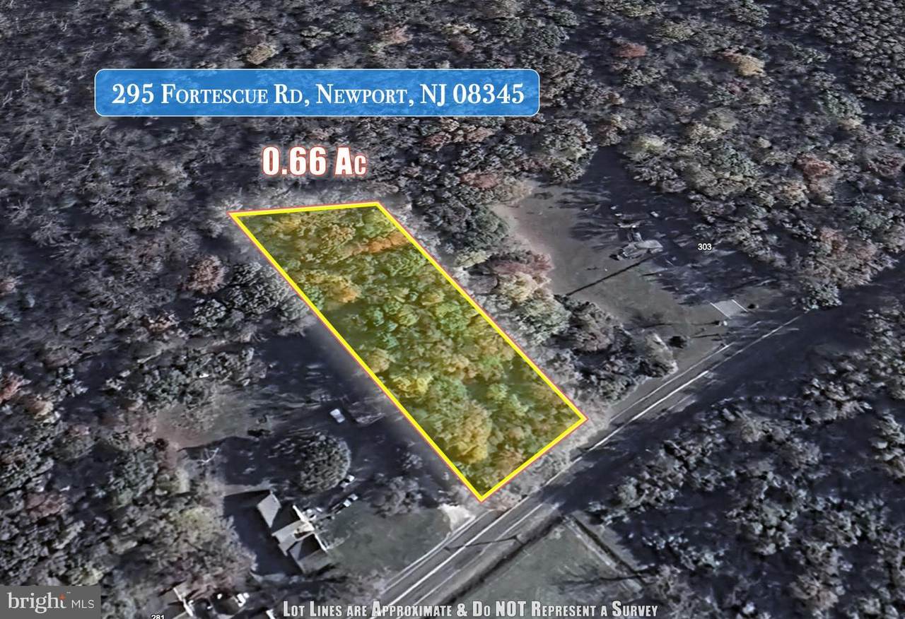 295 Fortescue Road - Photo 1