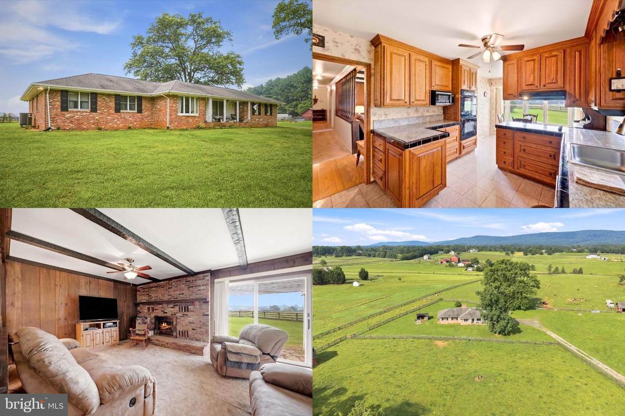 38855 Shoemaker Lane - Photo 1