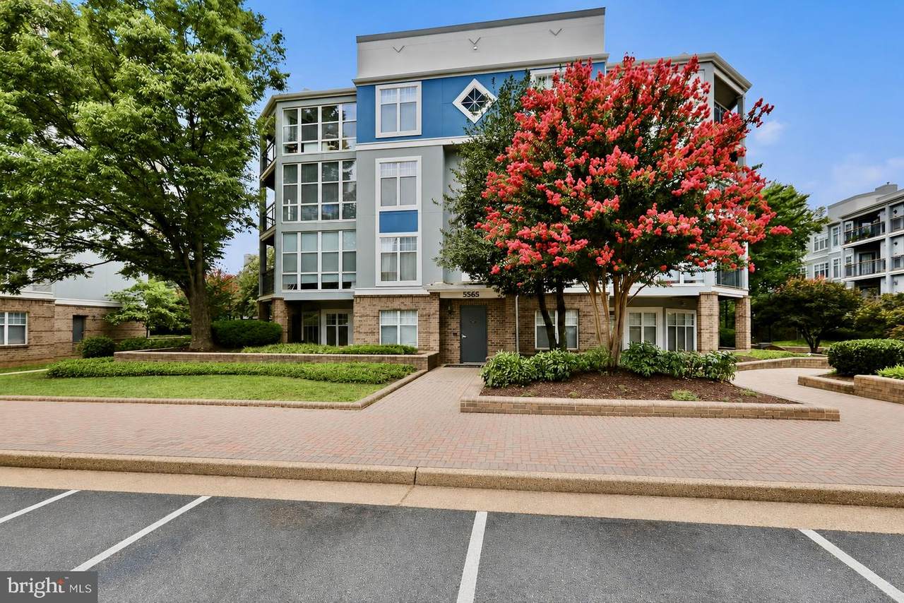 5565 Seminary Road - Photo 1