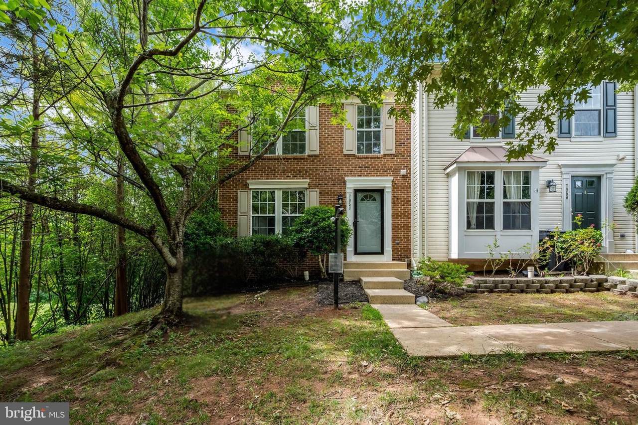 7057 Sauvage Lane - Photo 1