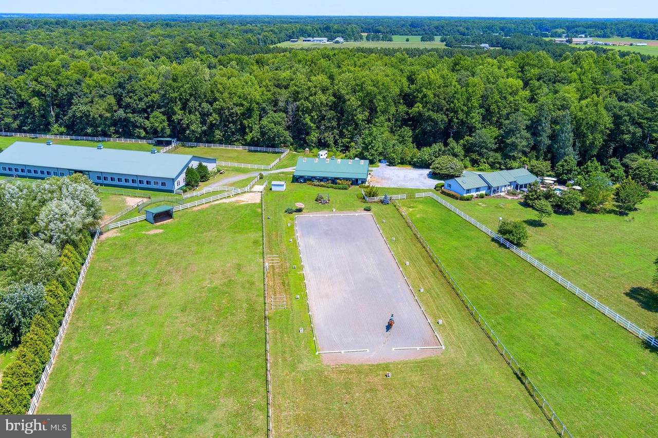 6354 Statum Road - Photo 1