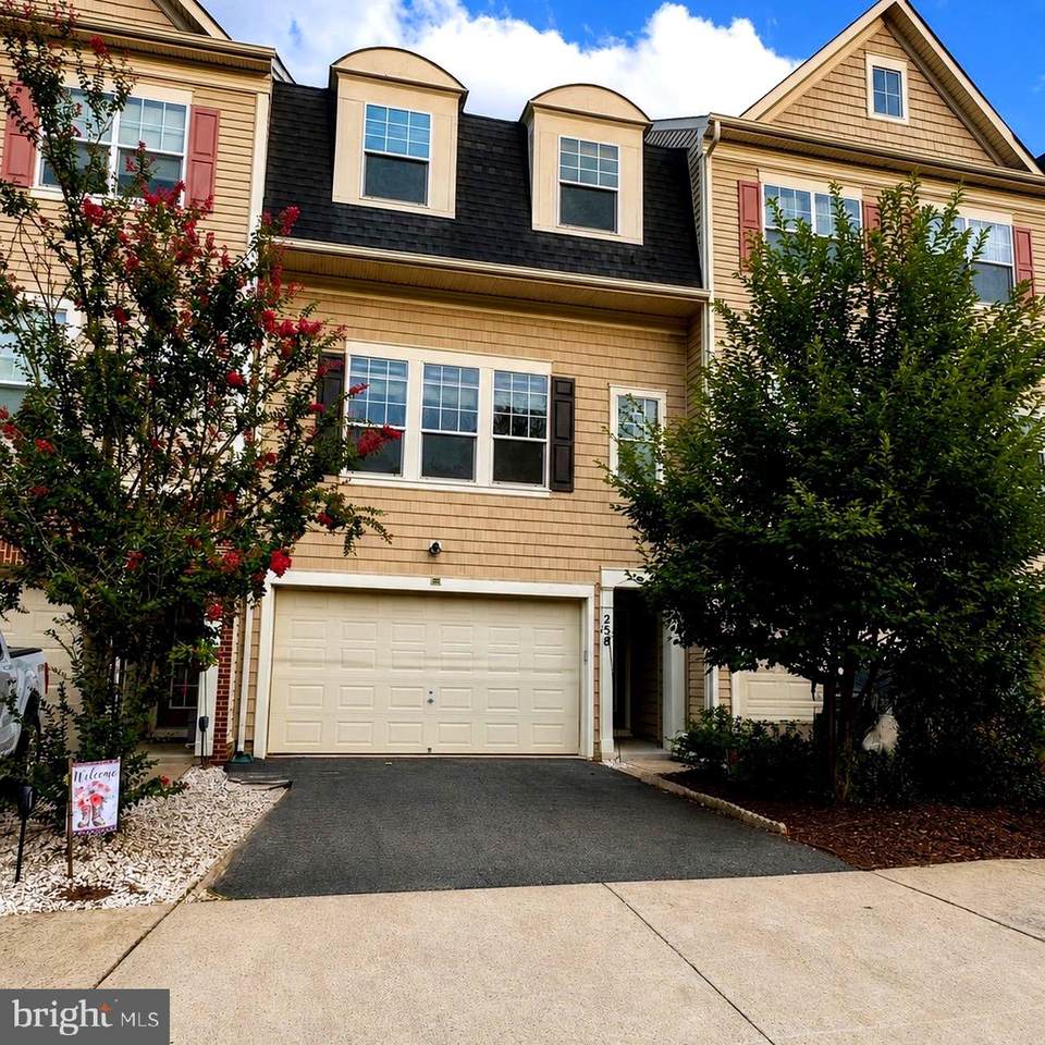 258 Short Branch Road - Photo 1