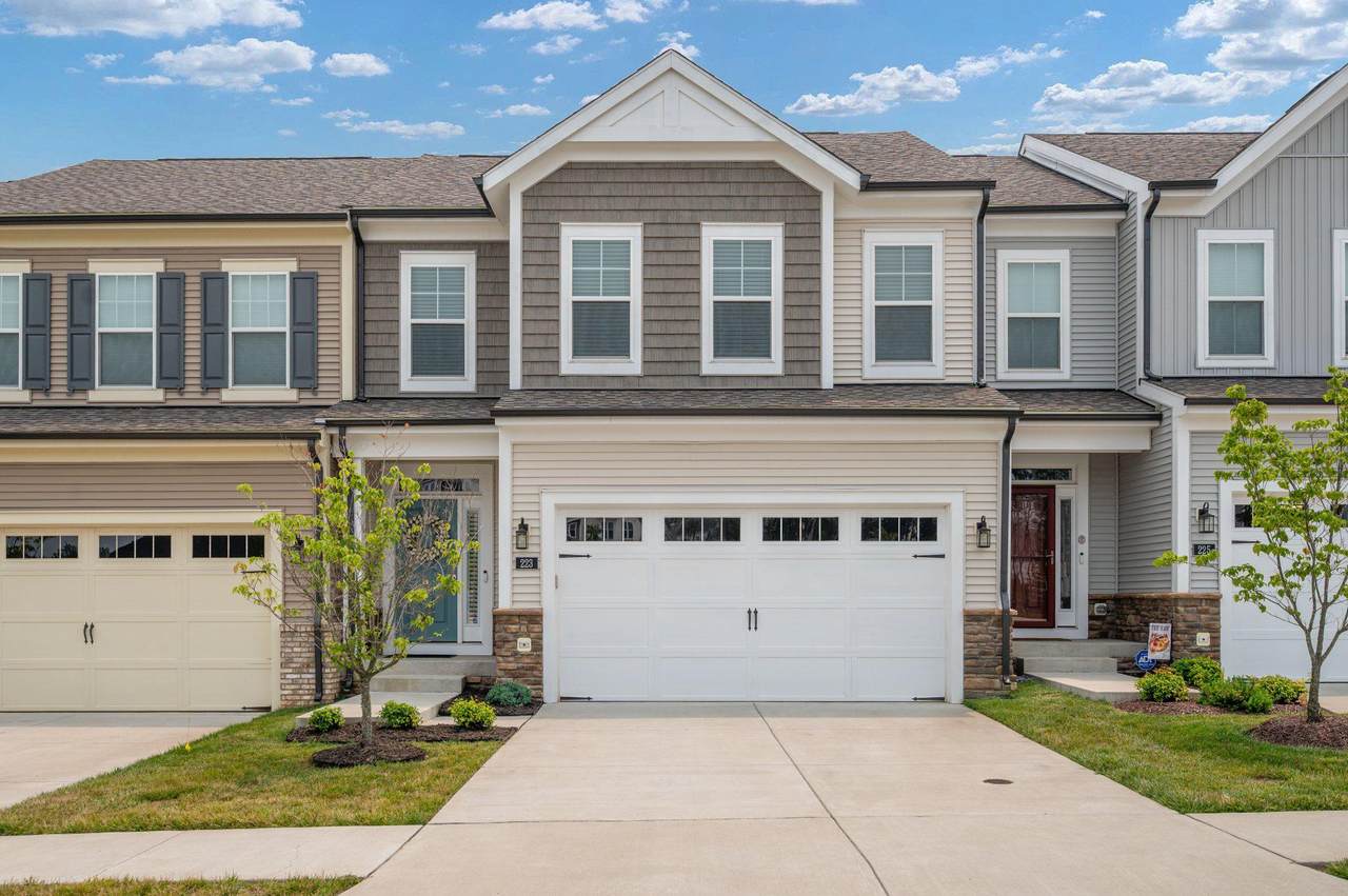 223 Smokebush Drive - Photo 1