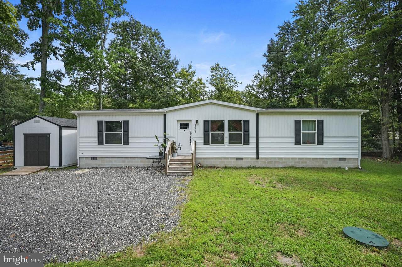 24145 Brach Street - Photo 1