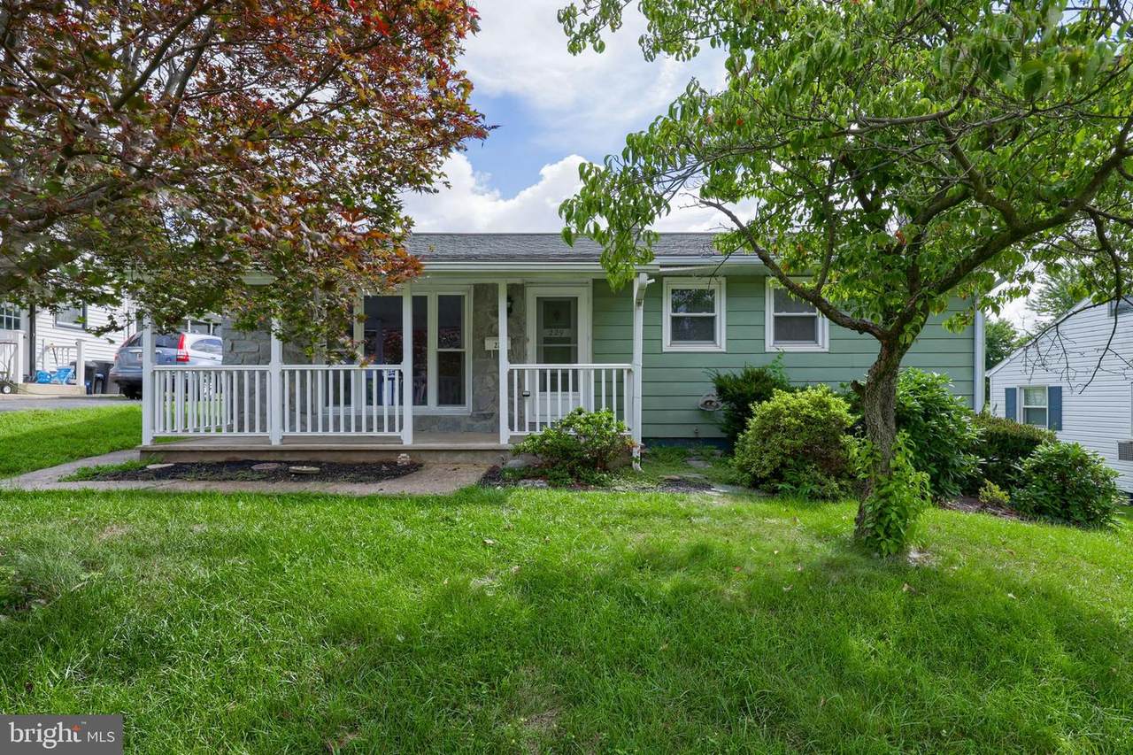 229 Maple Street - Photo 1
