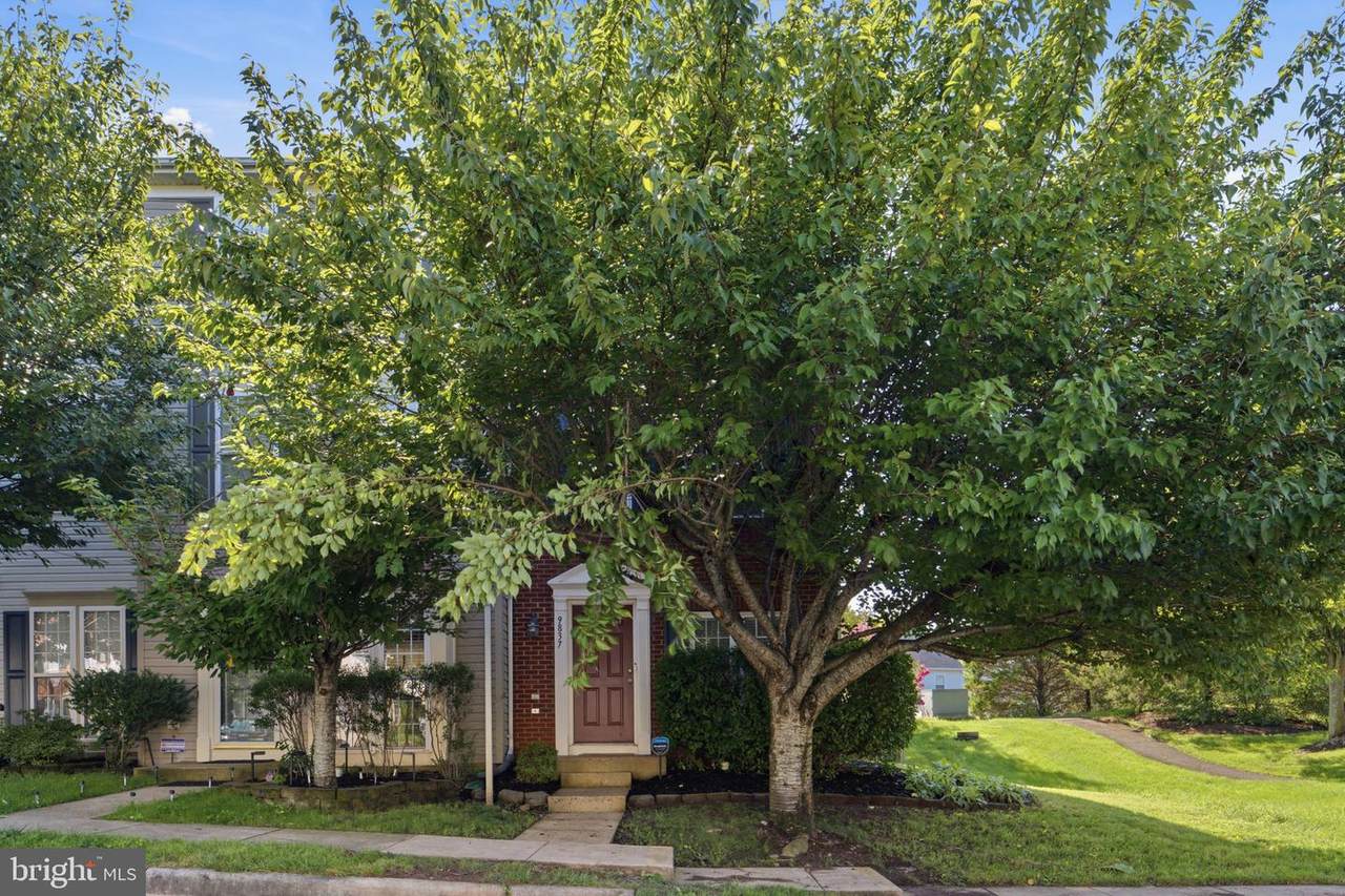 9837 Maitland Loop - Photo 1