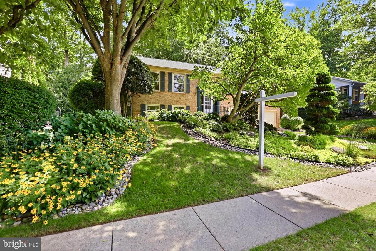 10147 Red Spruce Road - Photo 1
