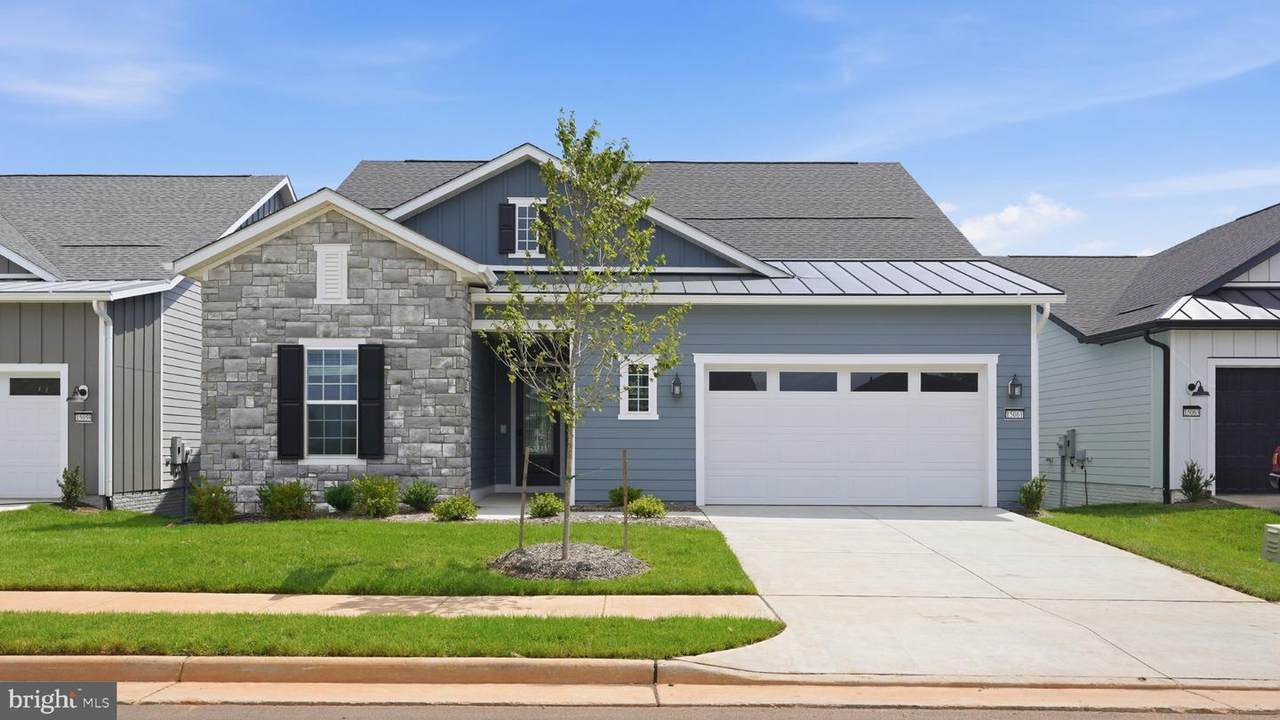 15061 Passion Lane - Photo 1