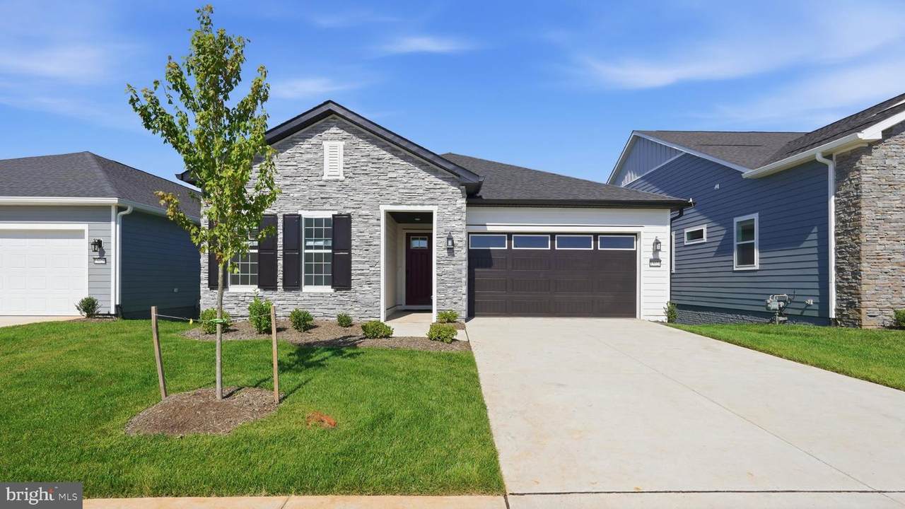 15024 Passion Lane - Photo 1