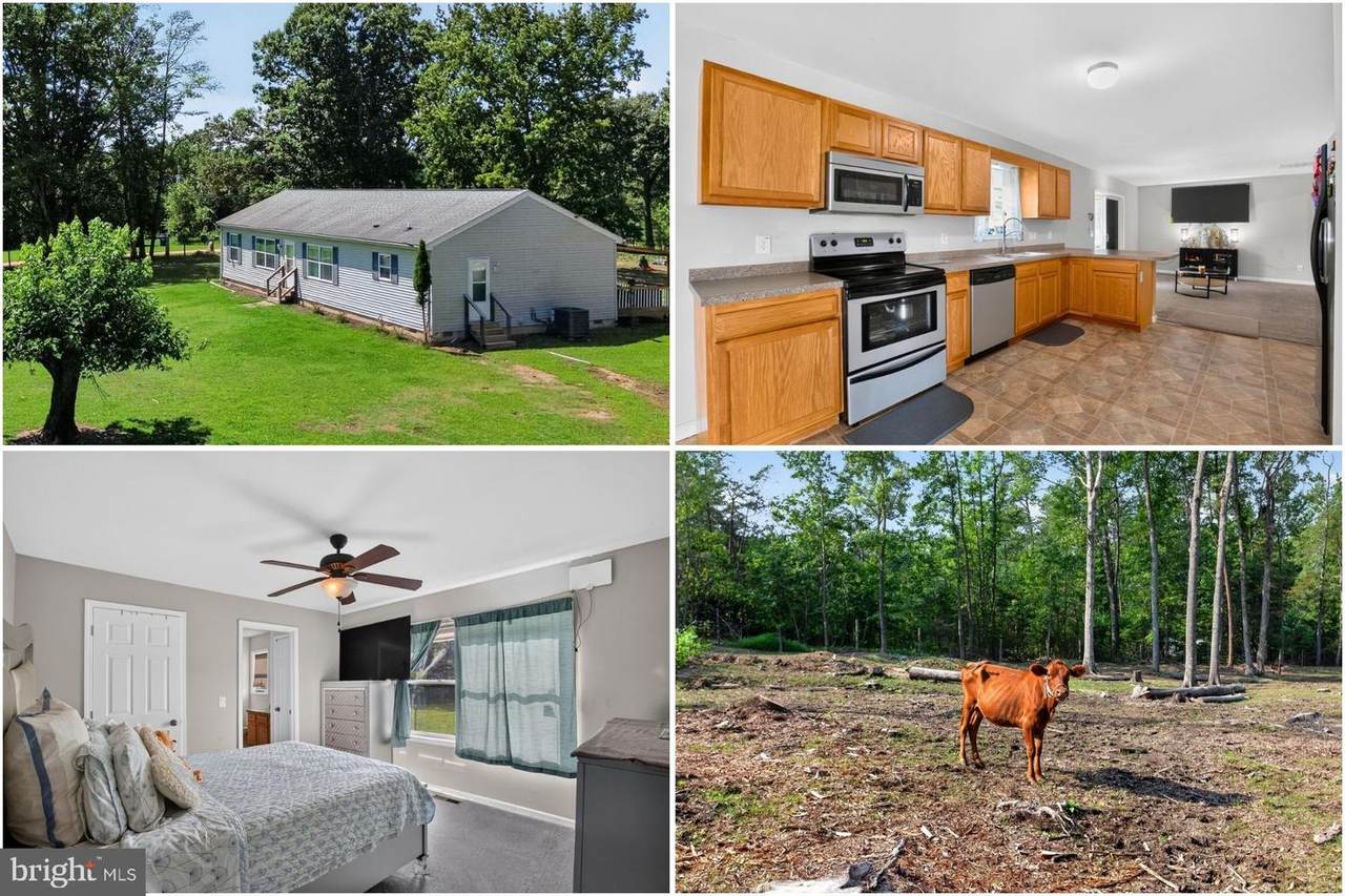 2905 Smith Point Road - Photo 1
