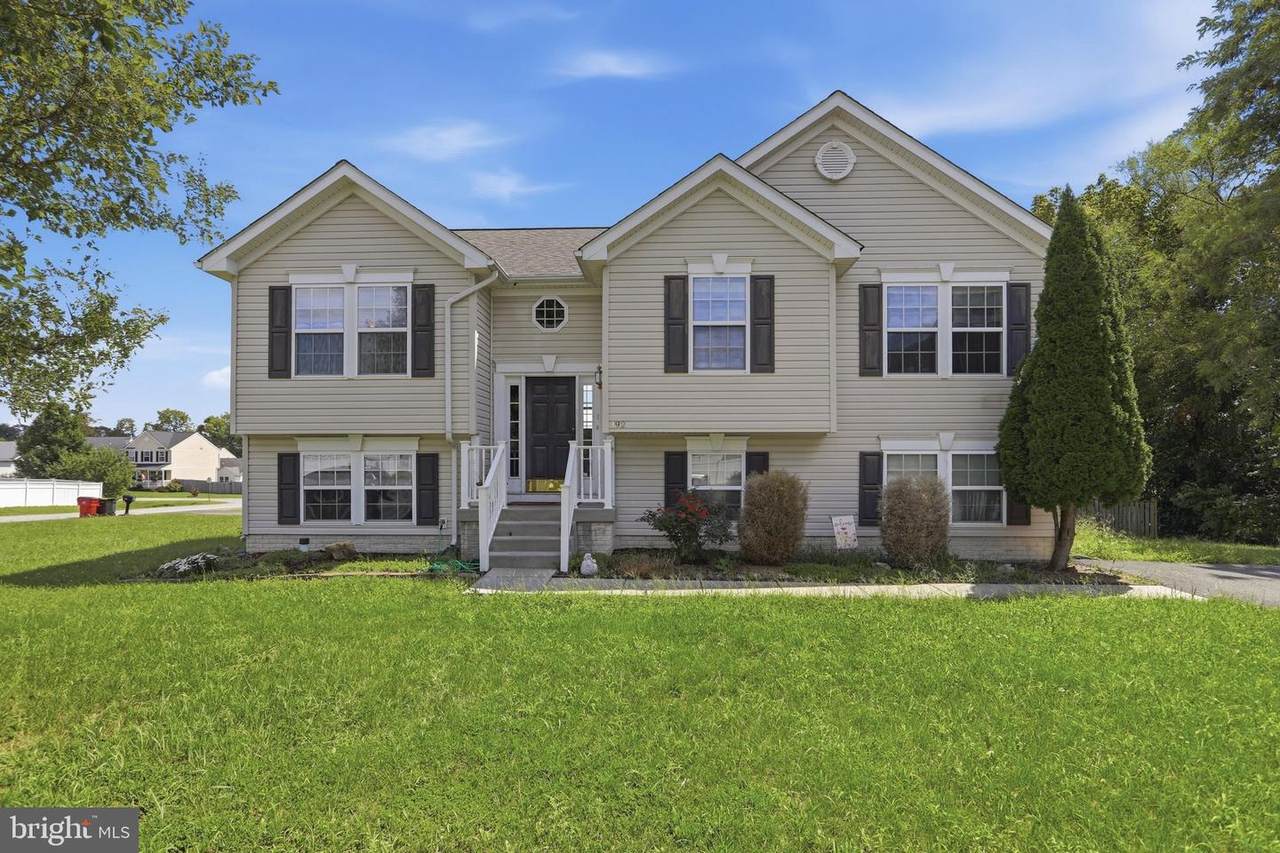 192 Amelia Drive - Photo 1