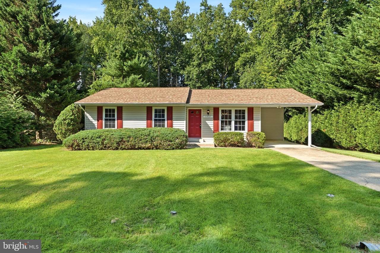 11517 Timberbrook Drive - Photo 1